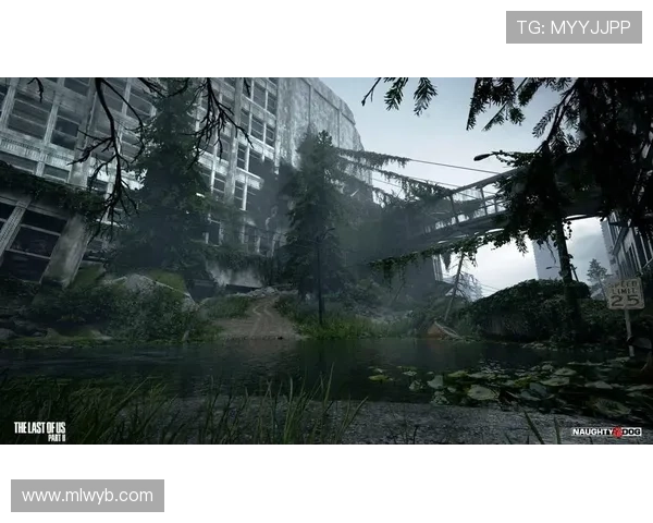 米兰app·体育登录：如何通过官方渠道确保账号安全与个人信息保护